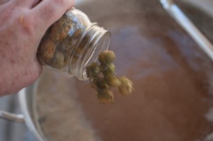 Larry's home-grown Mt. Hood fresh whole hops